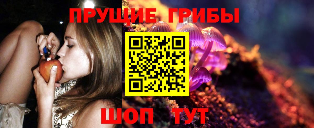 Галлюциногенные грибы Cubensis  Вход с VPN  Можга 